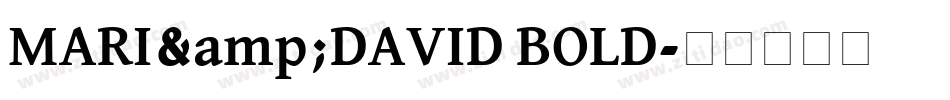 MARI&DAVID BOLD字体转换